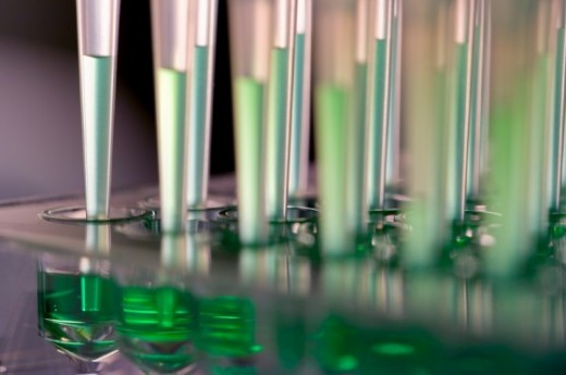 http://www.st-labs.com/wp-content/uploads/2009/09/new-green-e1317322142131.jpg